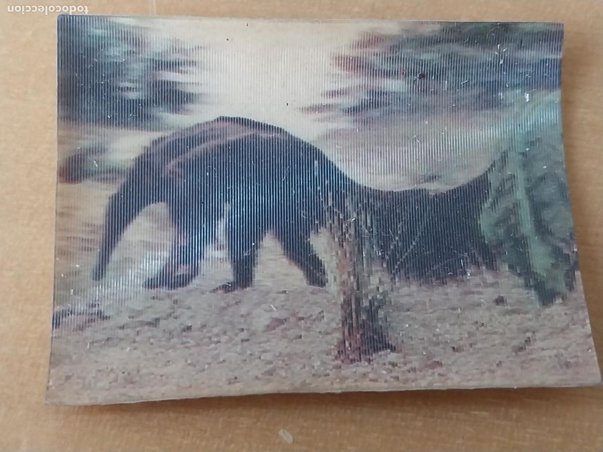 Coleccionismo Cromos antiguos: PANRICO OSO HORMIGUERO 36 ANIMALES TRES DIMENSIONES HOLOGRAMA