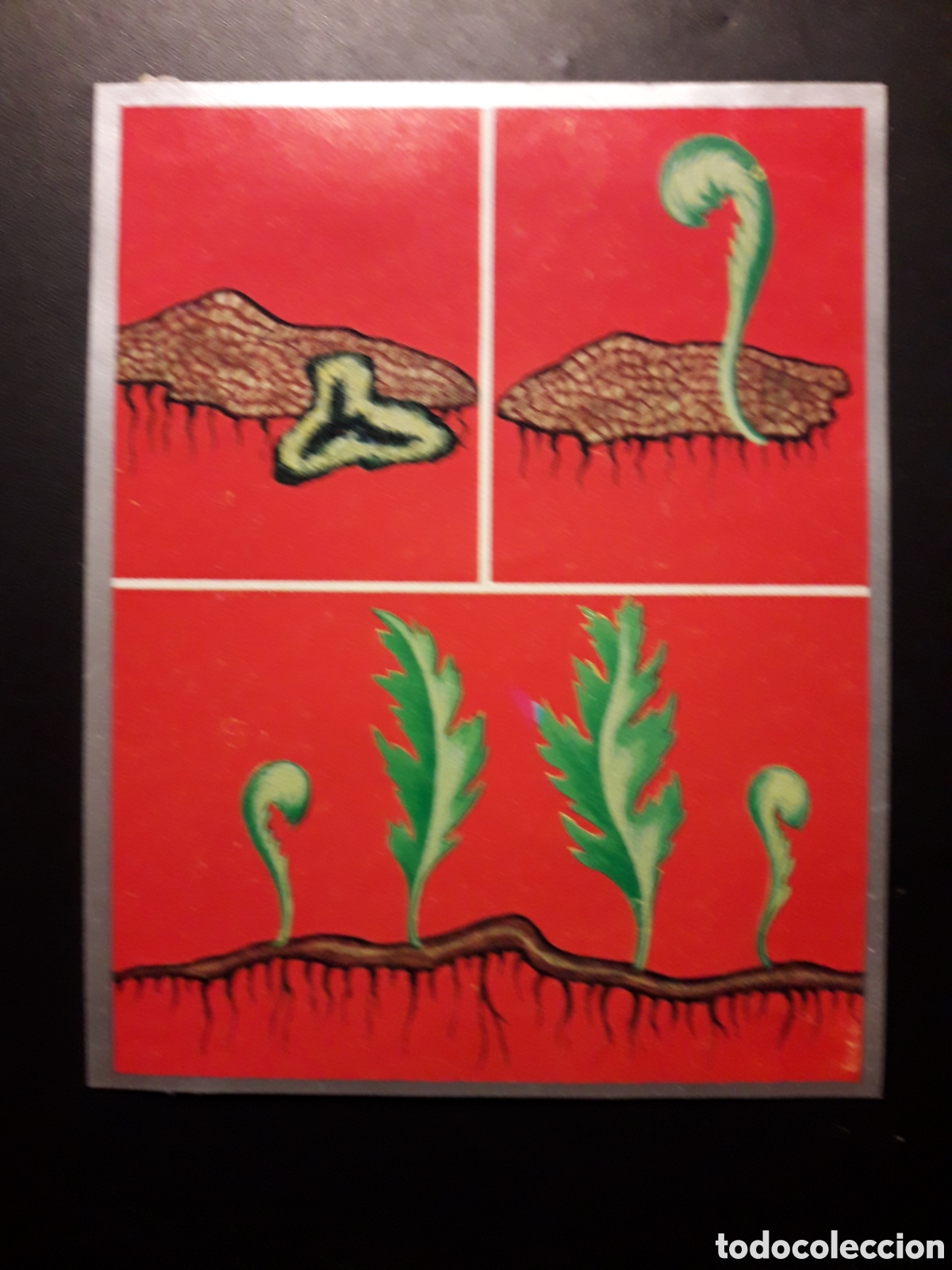 Sammeln alte Sammelbilder: ZOOLOG&Iacute;A Y BOT&Aacute;NICA N&deg; 225 ED MAGA 1969 DESPEGADO PEDIDO M&Iacute;NIMO 3&euro;