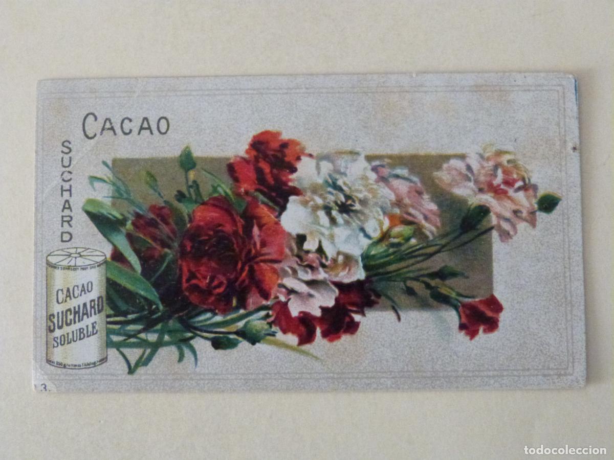 Coleccionismo cromos antiguos: CROMO DE FLORES SIN PEGAR DE CHOCOLATES SUCHARD - Foto 1