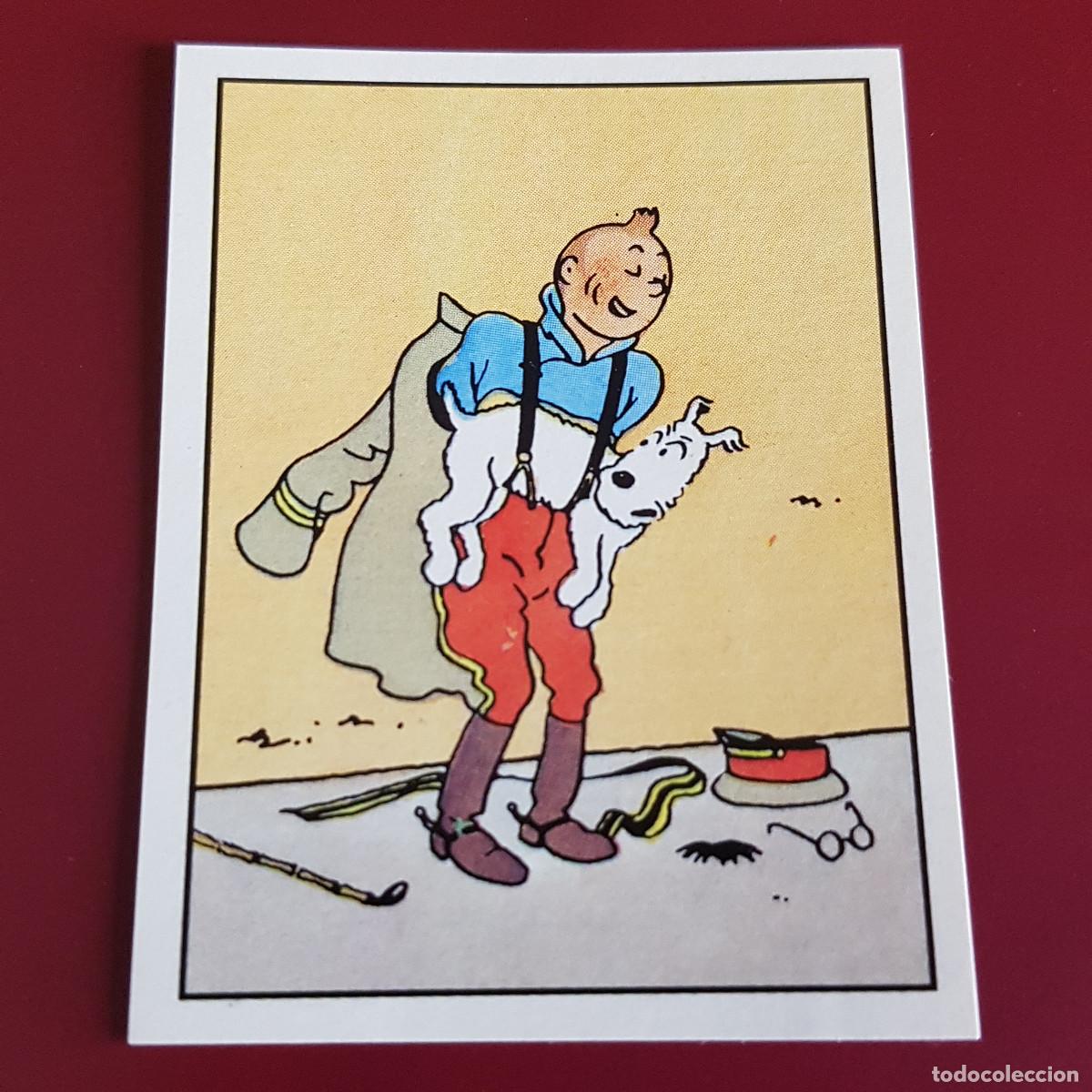 Coleccionismo cromos antiguos: PANINI - TINTIN - 146 - NUNCA PEGADO - Foto 1