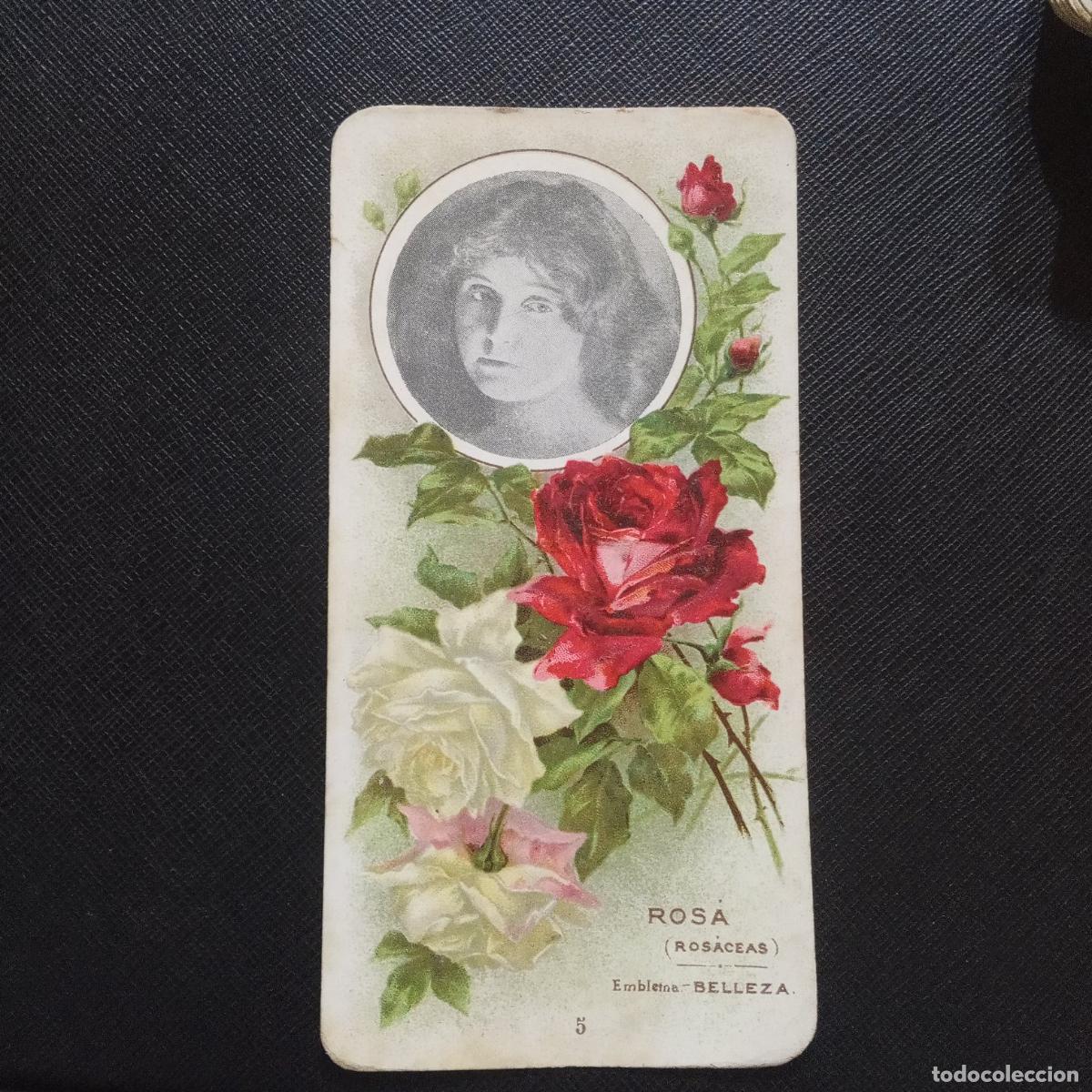 Colecionismo Cromos antigos: 5 ROSA EMBLEMA LENGUAJE Y SIGNIFICADO DE LAS FLORES CHOCOLATES MONCAU - CC8 SB4