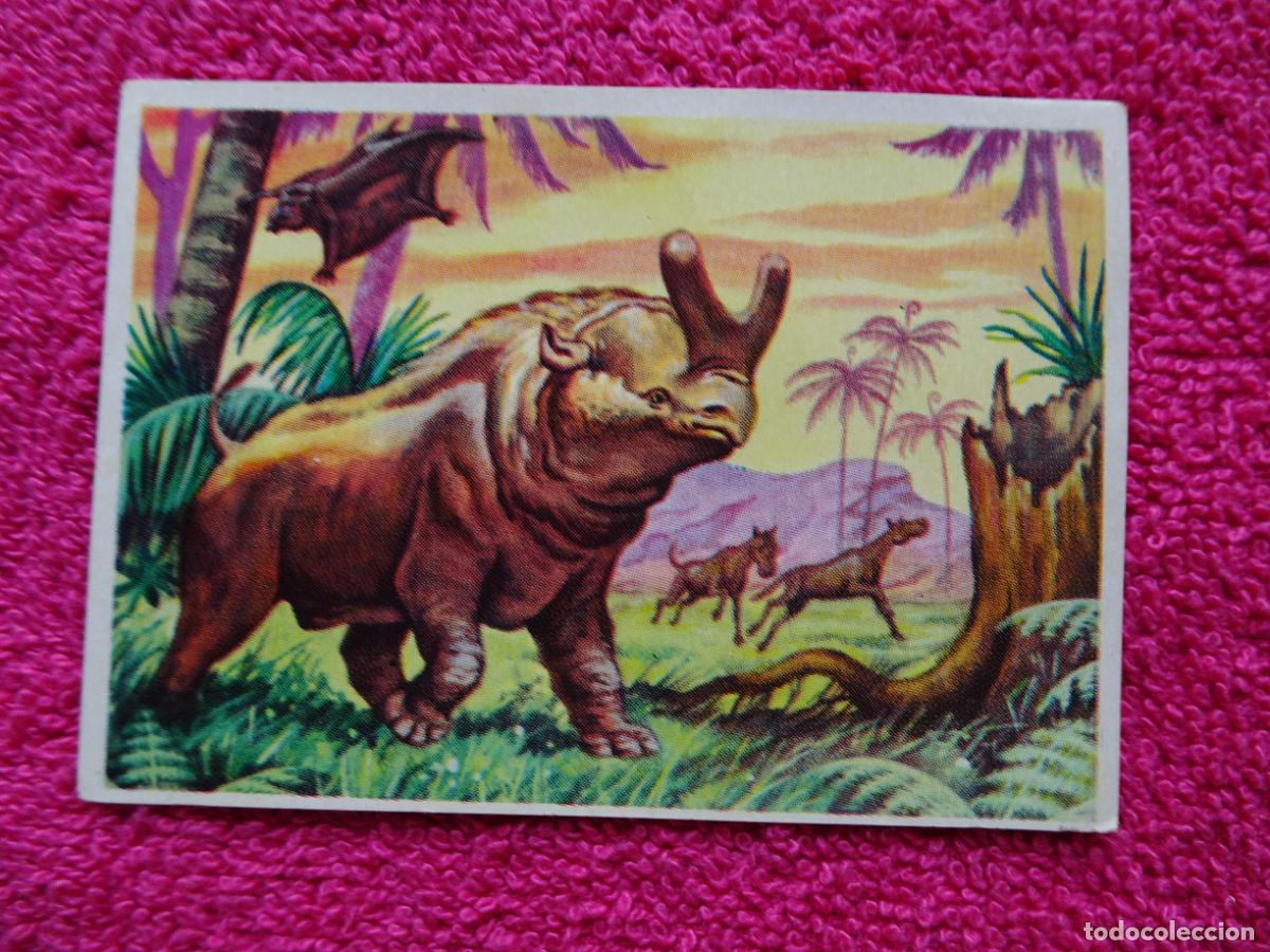 Coleccionismo Cromos antiguos: 12 historia natural oligoceno editorial bruguera 1967