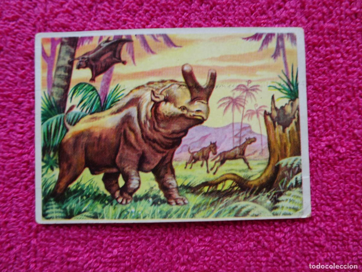 Coleccionismo Cromos antiguos: 12 historia natural oligoceno editorial bruguera 1967