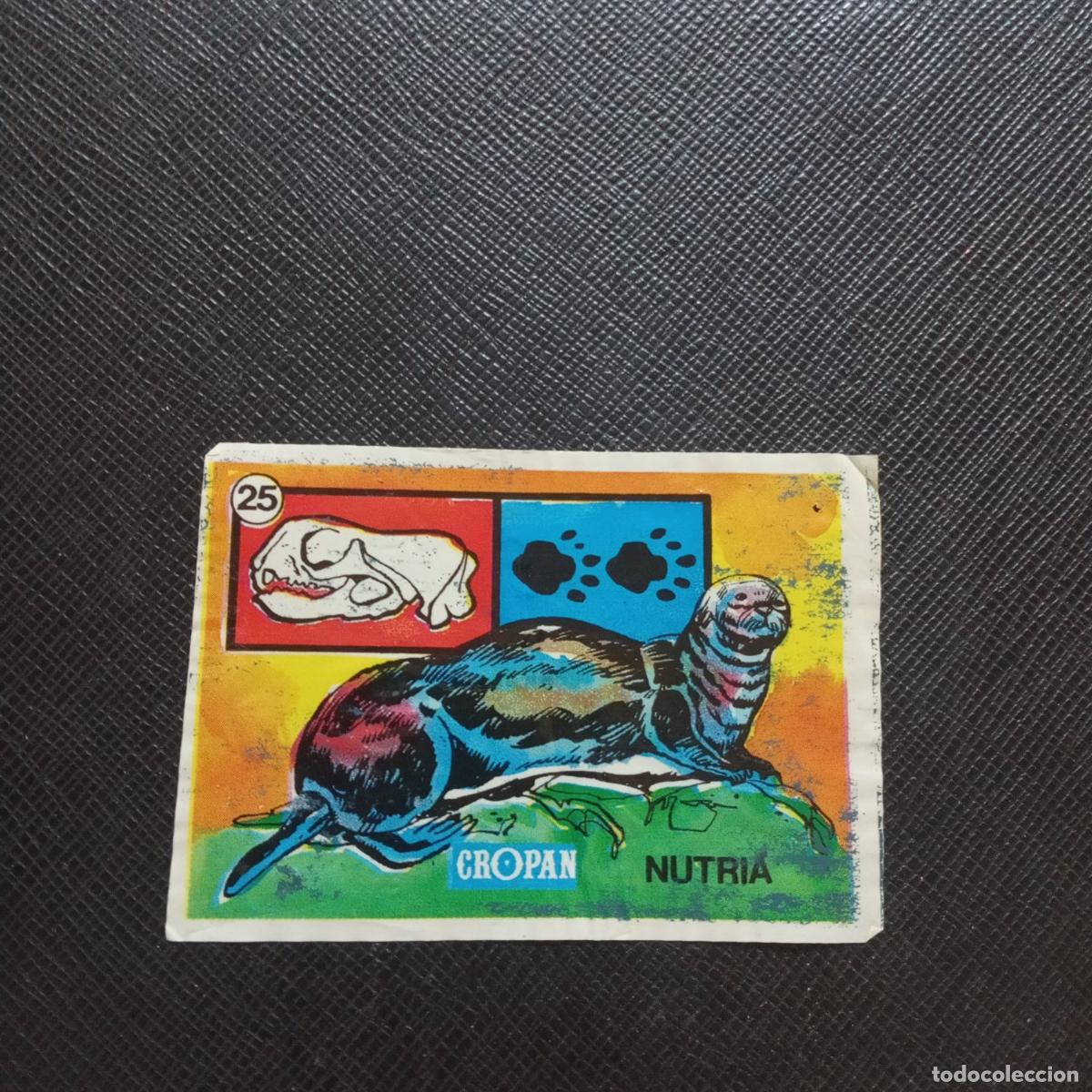 Coleccionismo Cromos antiguos: 25 NUTRIA SANDOKAN Y LAS HUELLAS DE LOS ANIMALES CROPAN CROMO - A173 PG28