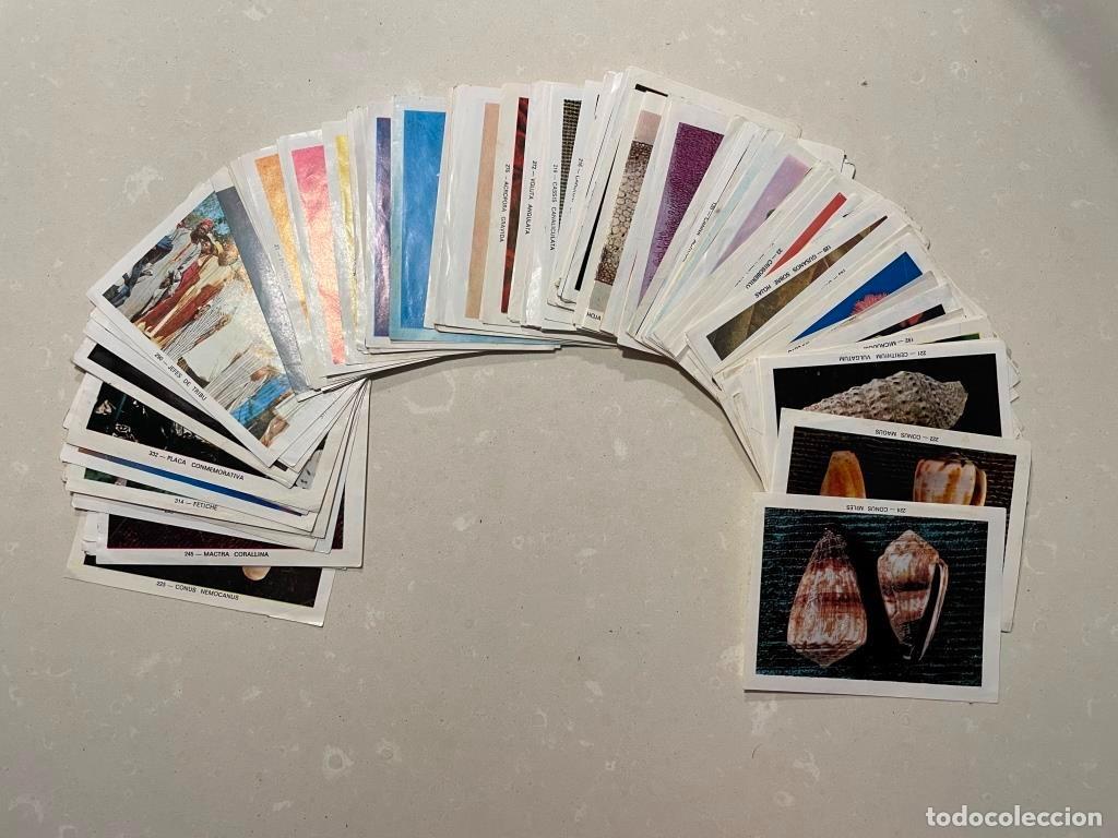 Coleccionismo Cromos antiguos: 115 cromos recuperados del Album Fotociencias (Keisa 1972)