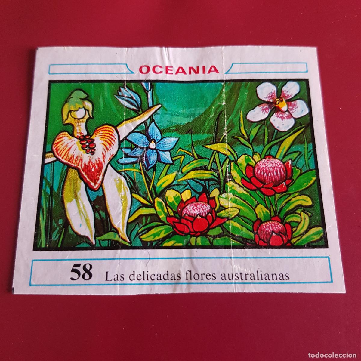 Coleccionismo cromos antiguos: DUNKIN - OCEANIA - UN CROMO - 58 - Foto 1