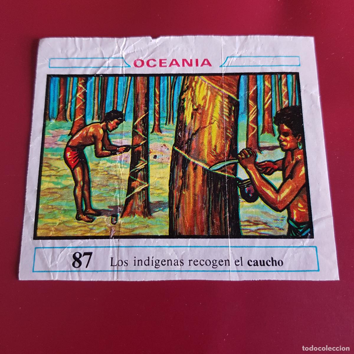 Coleccionismo cromos antiguos: DUNKIN - OCEANIA - UN CROMO - 87 - Foto 1