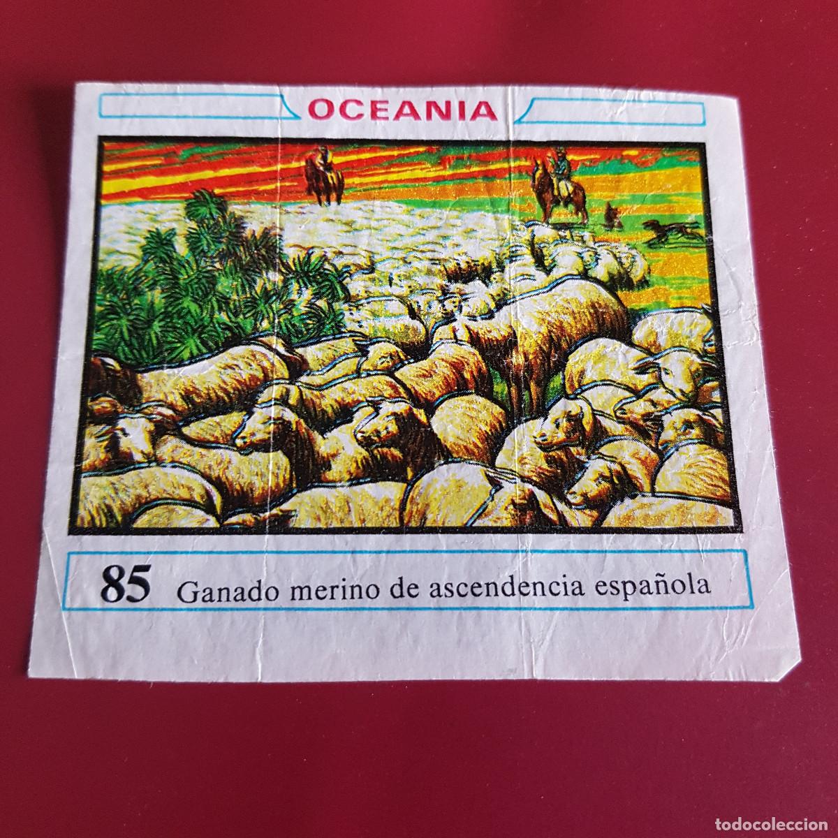 Coleccionismo cromos antiguos: DUNKIN - OCEANIA - UN CROMO - 85 - Foto 1