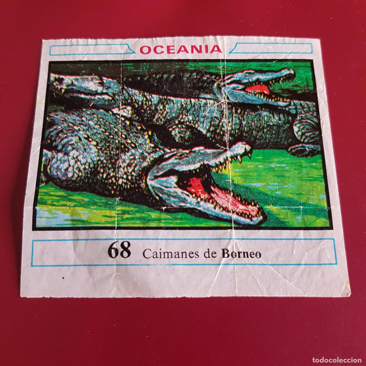 Coleccionismo cromos antiguos: DUNKIN - OCEANIA - UN CROMO - 68 - Foto 1