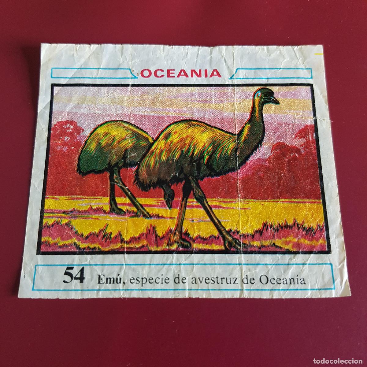 Coleccionismo cromos antiguos: DUNKIN - OCEANIA - UN CROMO - 54 - Foto 1