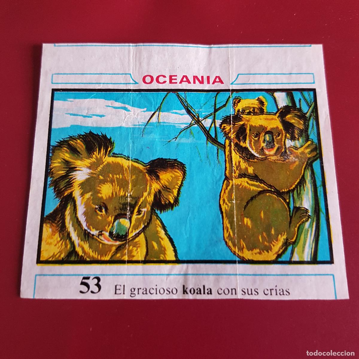 Coleccionismo cromos antiguos: DUNKIN - OCEANIA - UN CROMO - 53 - Foto 1