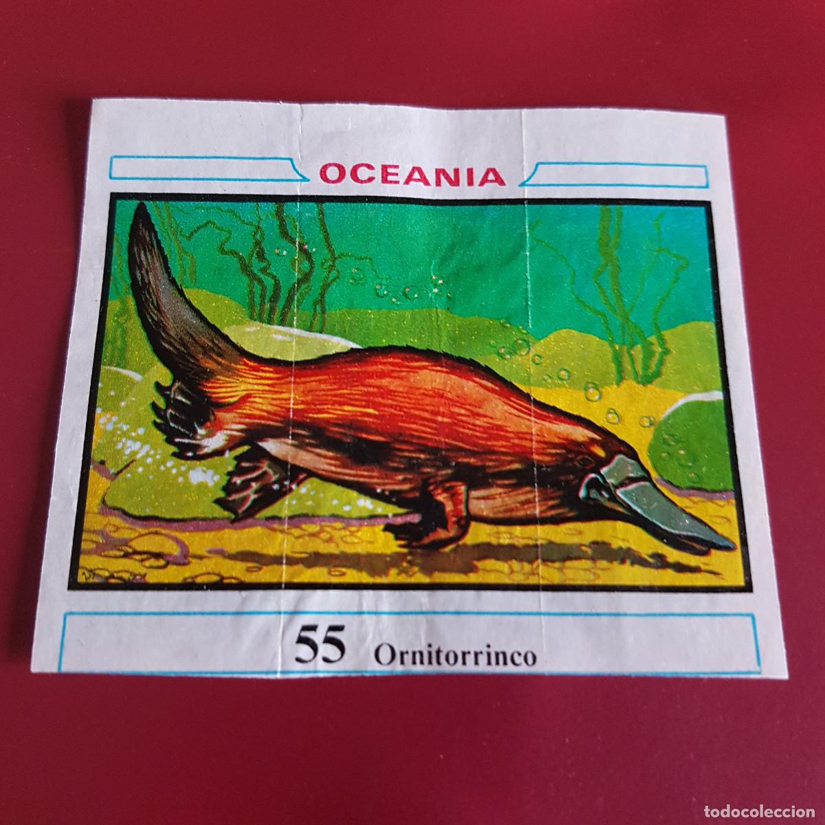 Coleccionismo cromos antiguos: DUNKIN - OCEANIA - UN CROMO - 55 - Foto 1