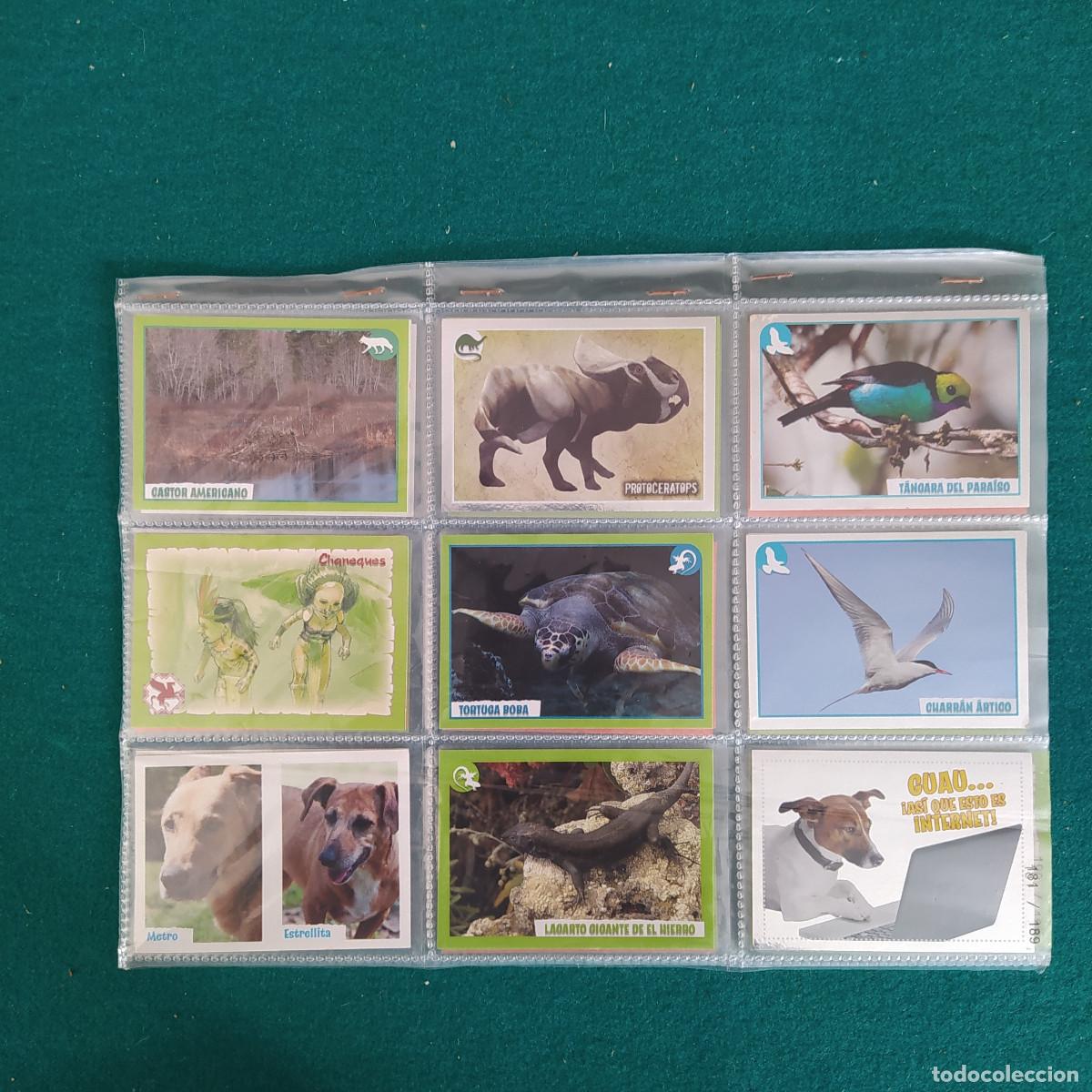Coleccionismo cromos antiguos: 26 CROMOS ANIMALES PANINI - Foto 1