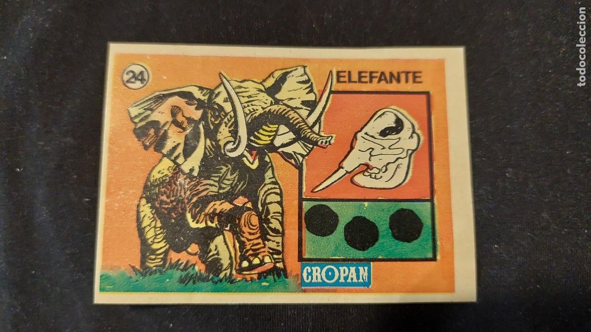 Coleccionismo Cromos antiguos: CROMO CROPAN SANDOKAN Y LAS HUELLAS DE LOS ANIMALES N&ordm; 24 elefante