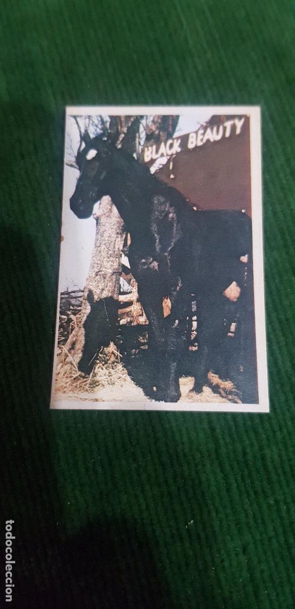 Coleccionismo cromos antiguos: FIGURAS EDICIONES ESTE 1975-- CABALLO NEGRO - Foto 1