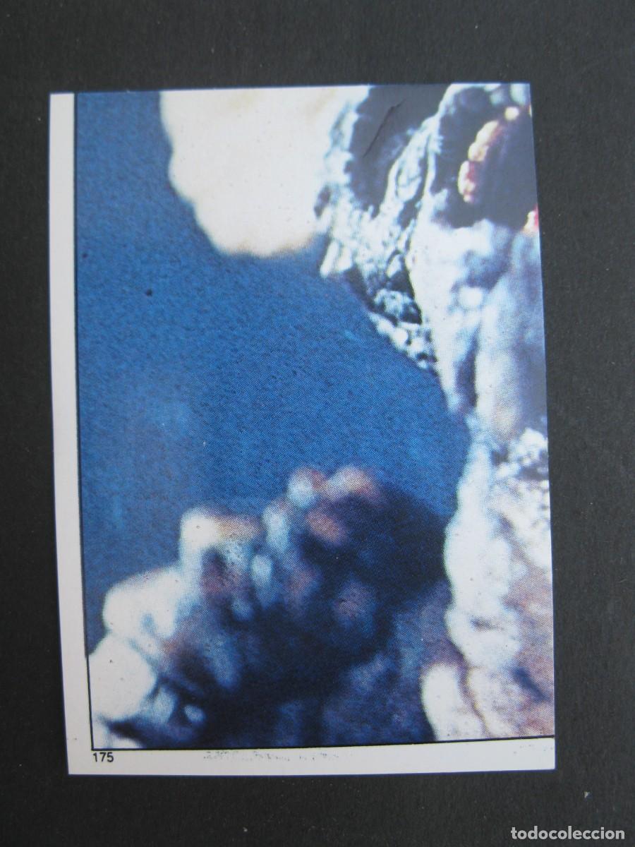 Coleccionismo cromos antiguos: GREMLINS - CROMO N&ordm; 175 - PANINI - NUNCA PEGADO. - Foto 1
