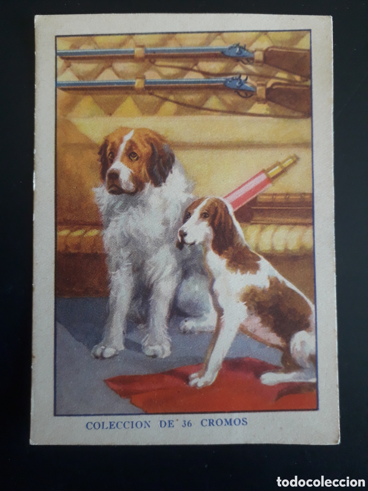 Coleccionismo cromos antiguos: DE LA TIERRA A LA LUNA, ED J. BARGU&Ntilde;&Oacute;, BARCELONA N&deg; 13 SIN PEGAR, PEDIDO M&Iacute;NIMO 3&euro;
