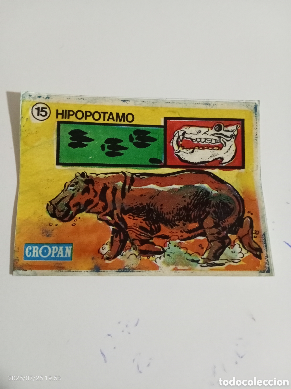 Coleccionismo Cromos antiguos: CROMO CROP&Aacute;N SANDOKAN Y LAS HUELLAS DE LOS ANIMALES N-15, RINOCERONTE