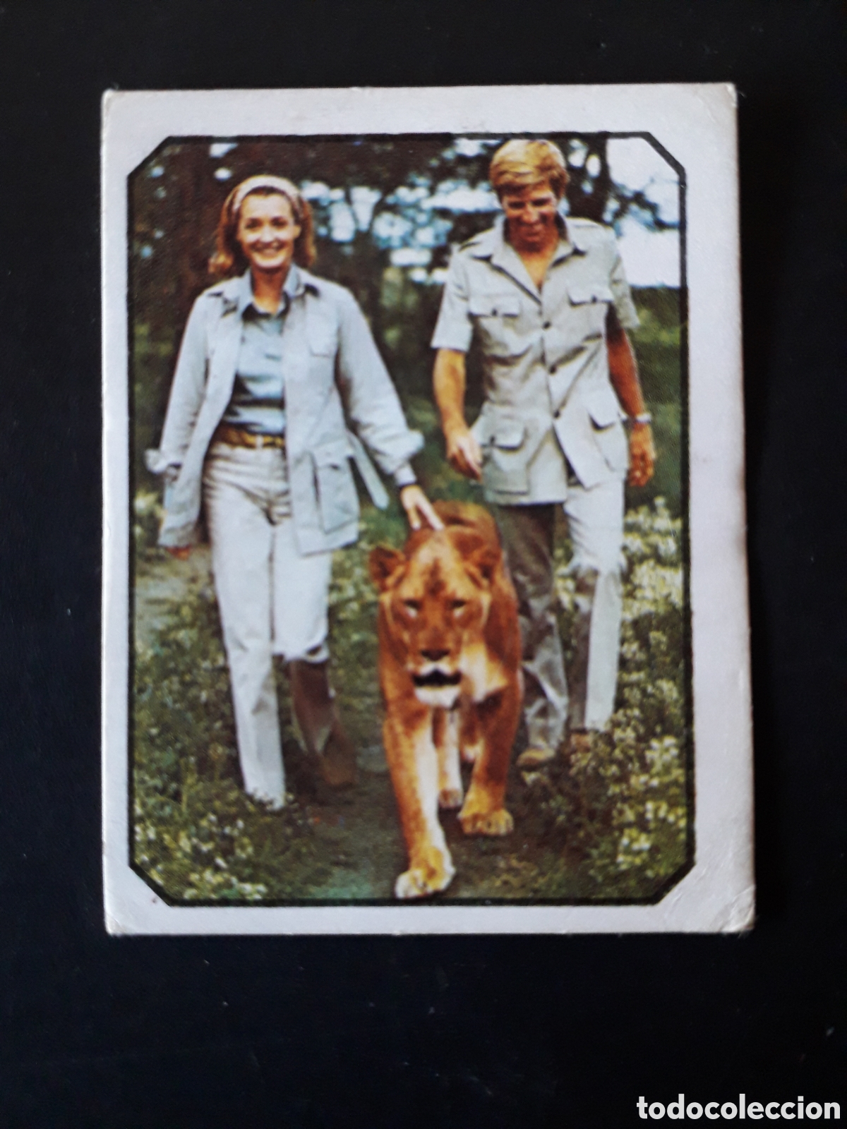 Sammeln alte Sammelbilder: GARY COLLINS, DIANA MULDAUR, NACIDA LIBRE N&deg; 4 ALBUM FANS ED ESTE 1976 SIN PEGAR PEDIDO M&Iacute;NIMO 3&euro;