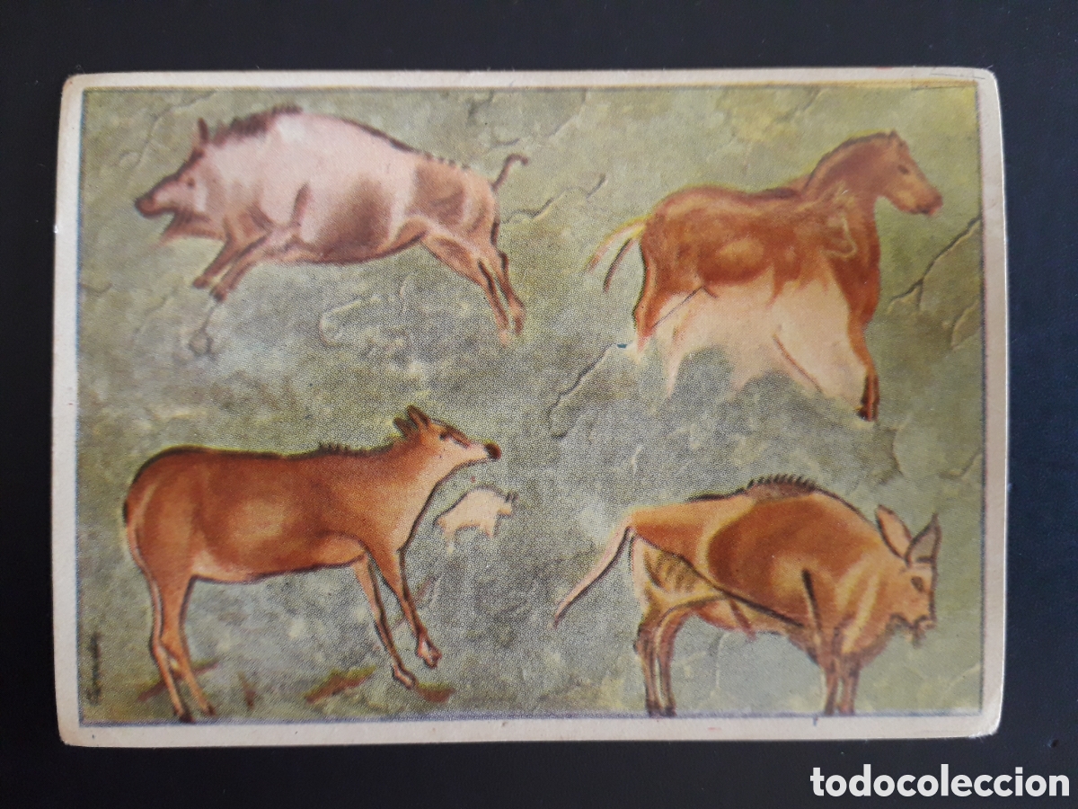 Sammeln alte Sammelbilder: PINTURAS RUPESTRES ALTAMIRA MARAVILLAS DEL MUNDO N&deg; 159 ALBUM 2 BRUGUERA 1956 PEDIDO M&Iacute;NIMO 3&euro;