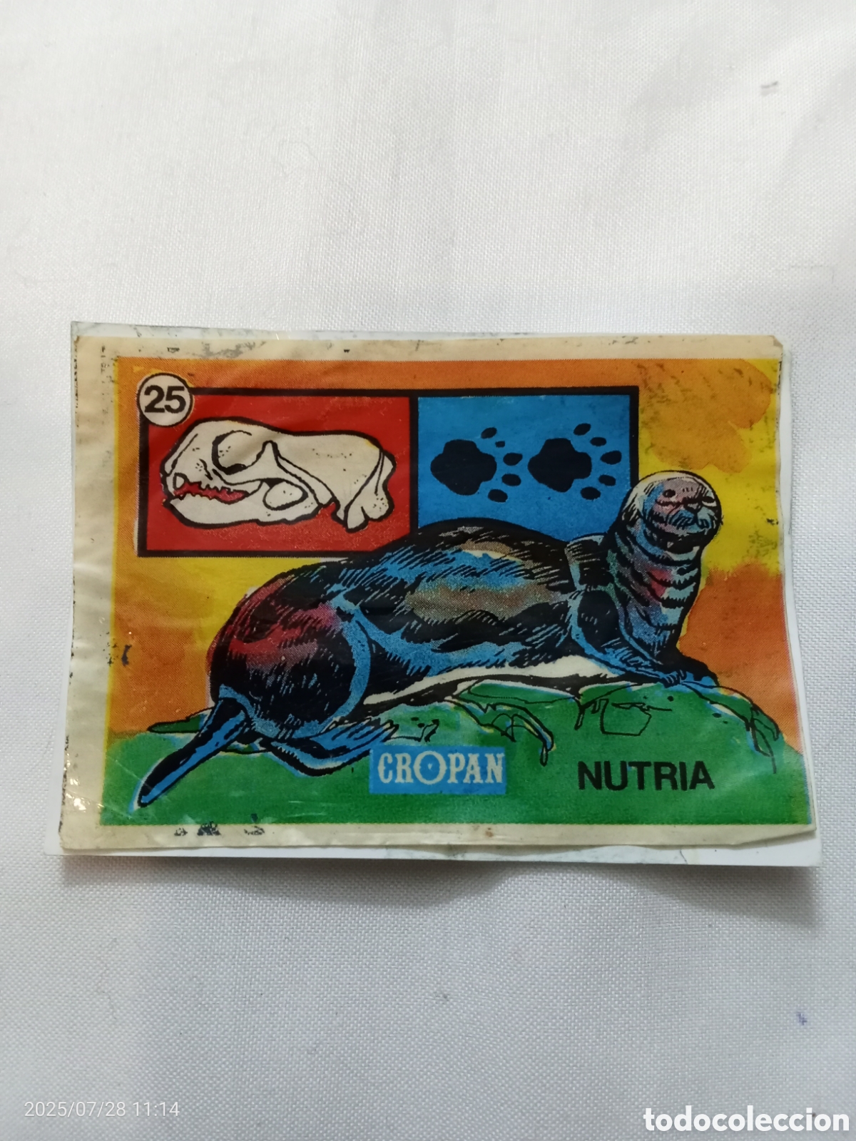 Coleccionismo Cromos antiguos: CROMO CROPAN SANDOKAN Y LAS HUELLAS DE LOS ANIMALES N-25 NUTRIA