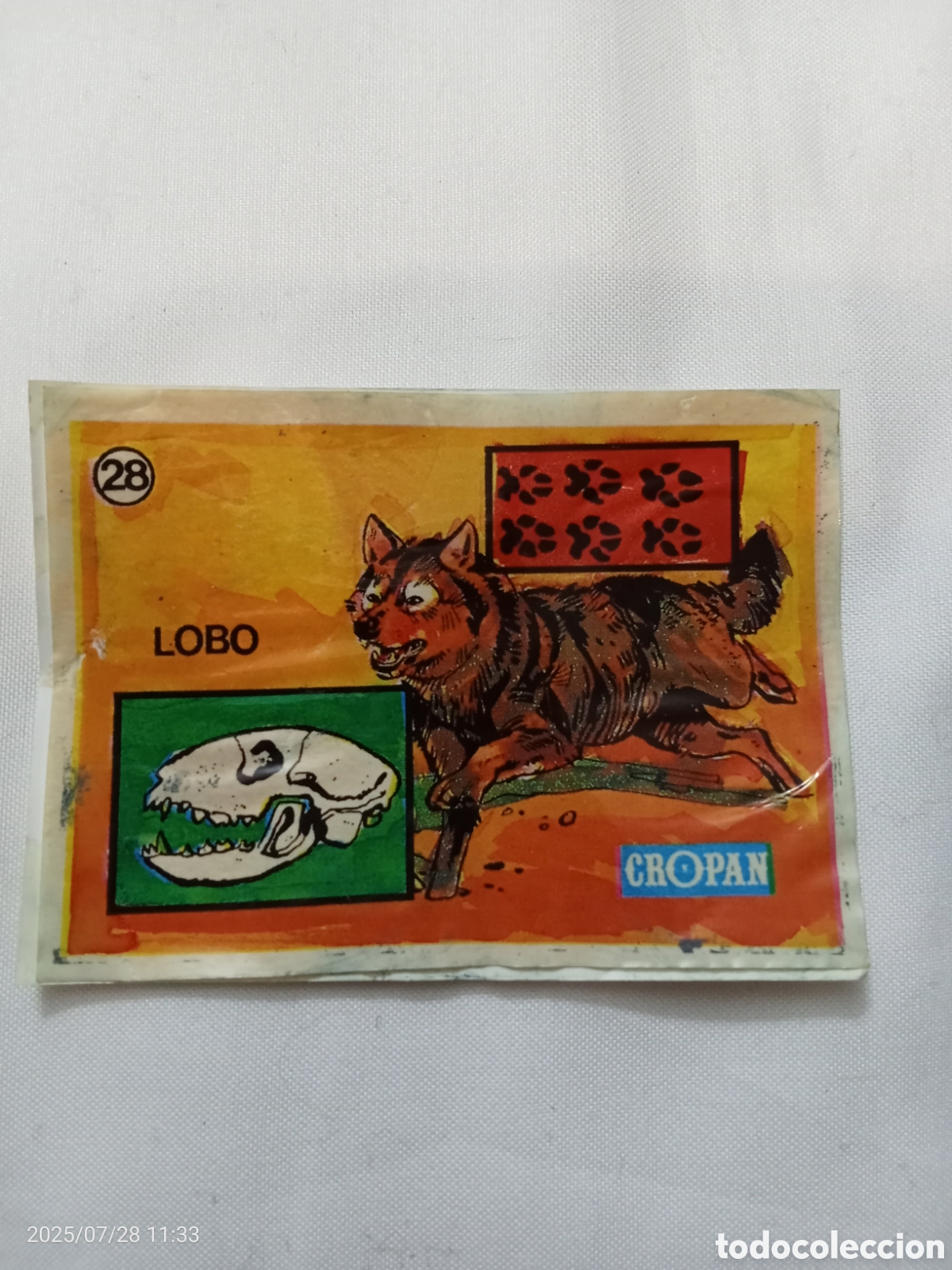 Coleccionismo Cromos antiguos: CROMO CROPAN SANDOKAN Y LAS HUELLAS DE LOS ANIMALES N-28 LOBO