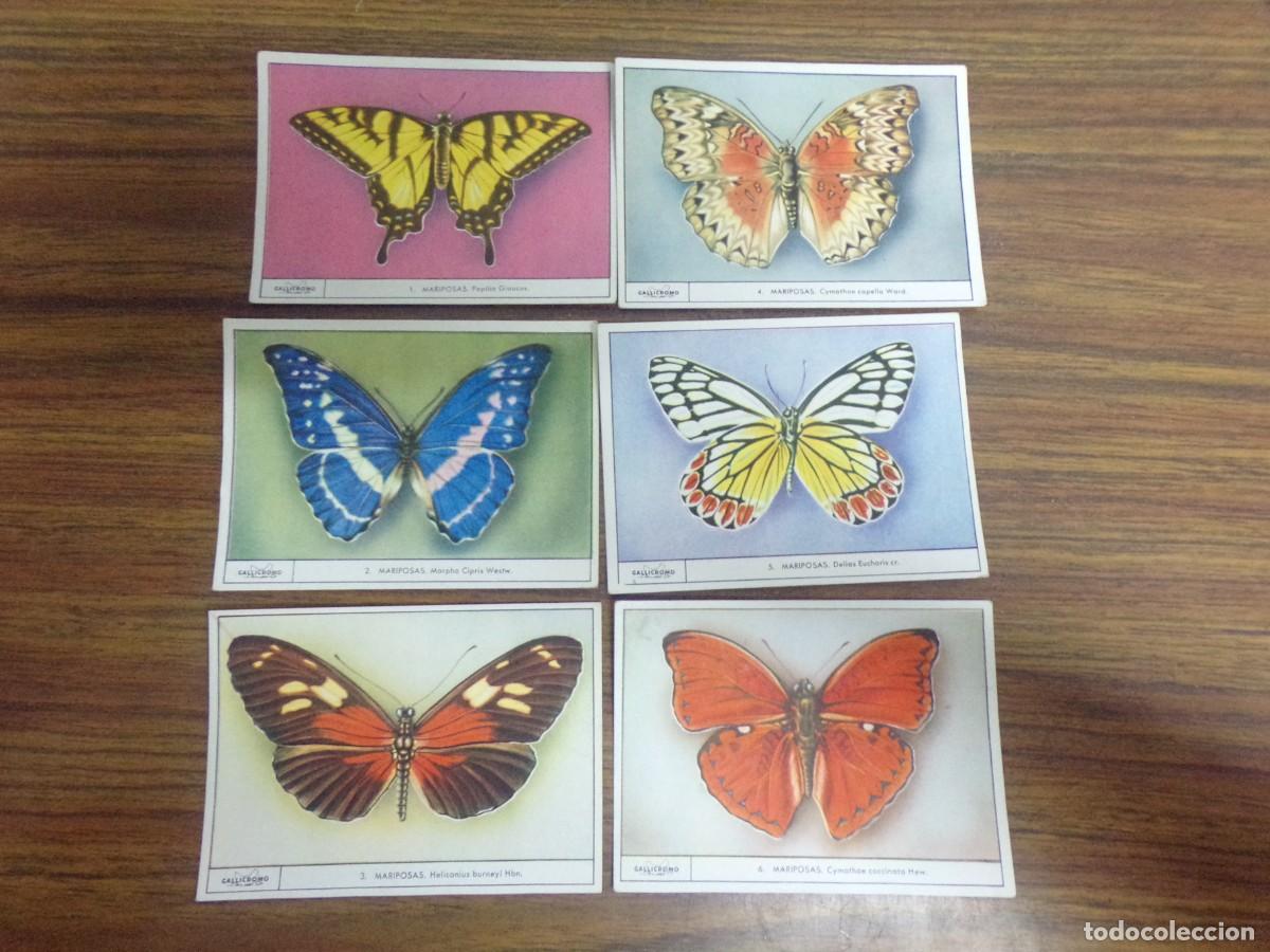Coleccionismo cromos antiguos: serie completa de cromos gallicromos. Mariposas - Foto 1