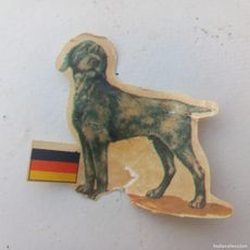 Cromo Panrico Los Perros Sus Razas Y Su Orig Compra Venta En cromo-panrico-los-perros-sus-razas-y-su-orig-compra-venta-en