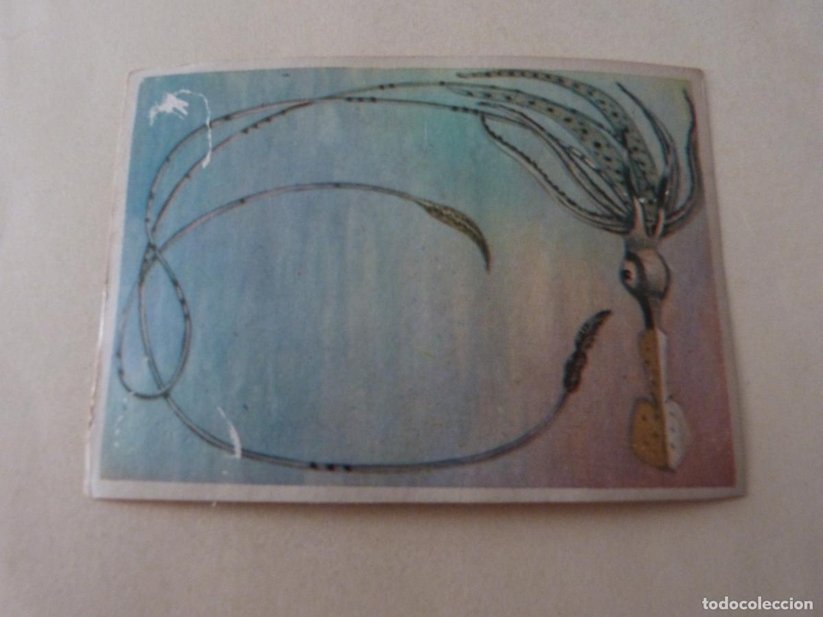 Coleccionismo Cromos antiguos: CROMO DE HISTORIA NATURAL SIN PEGAR N&ordm; 257 A&Ntilde;O 1967 ALBUM HISTORIA NATURAL DE BRUGUERA