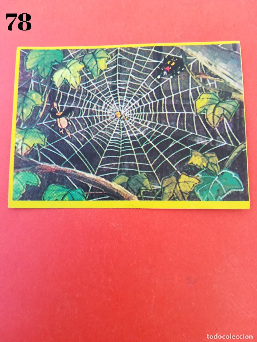 Coleccionismo cromos antiguos: Cromo n.78 la abeja maya - danone - sin pegar - Foto 1