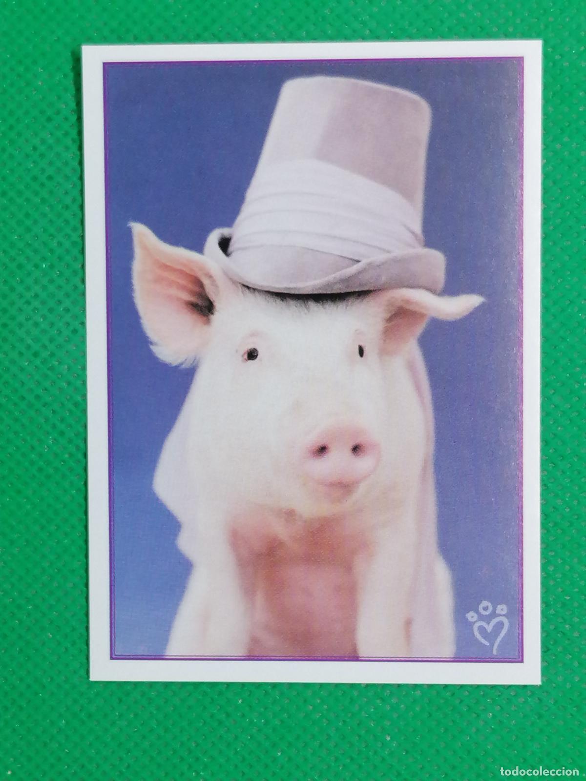 Coleccionismo cromos antiguos: 96 CROMO STICKER ANIMALITOS AUN MAS DIVERTIDOS 2009 2010 PANINI