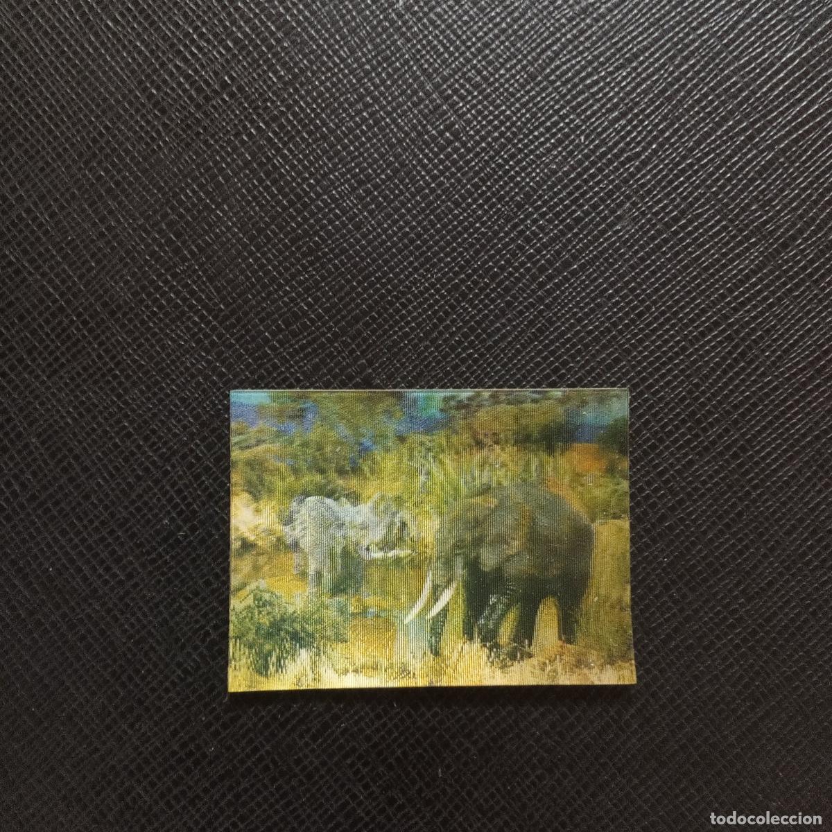 Coleccionismo Cromos antiguos: 2 ELEFANTE AFRICANO PANRICO EL MUNDO DE LOS ANIMALES SALVAJES EN 3 DIMENSIONES SIN PEGAR - A14 PG28