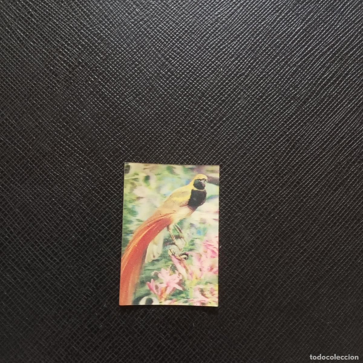 Coleccionismo Cromos antiguos: 38 AVE DEL PARAISO PANRICO EL MUNDO DE LOS ANIMALES EN 3 DIMENSIONES - SIN PEGAR - A14 PG28