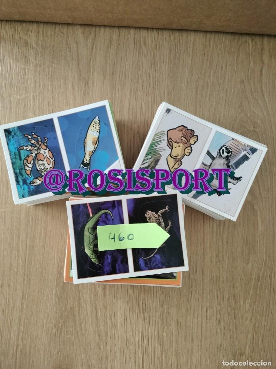 Colecionismo Cromos antigos: 460 cromos album del mundo animales a&ntilde;o 2012 hay repes ver mas lotes en rosisport