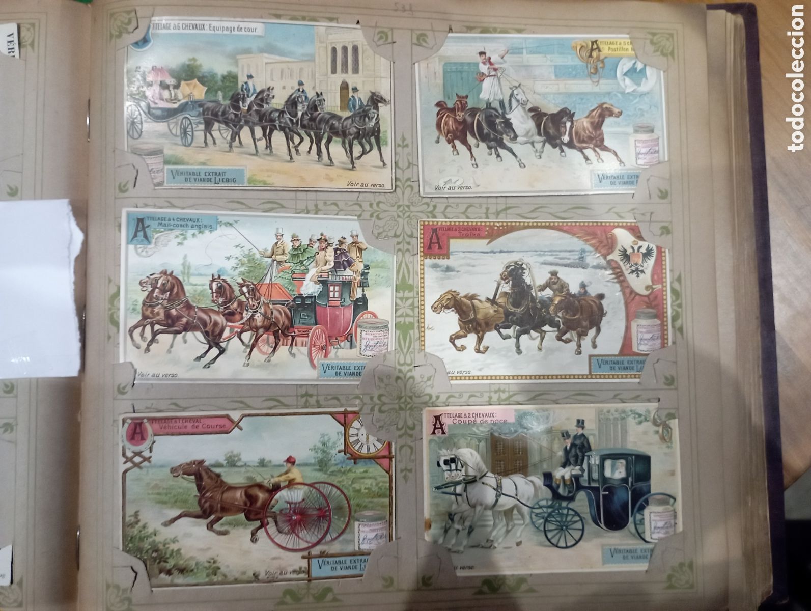 Sammeln alte Sammelbilder: Serie completa Liebig Sanguinetti 538