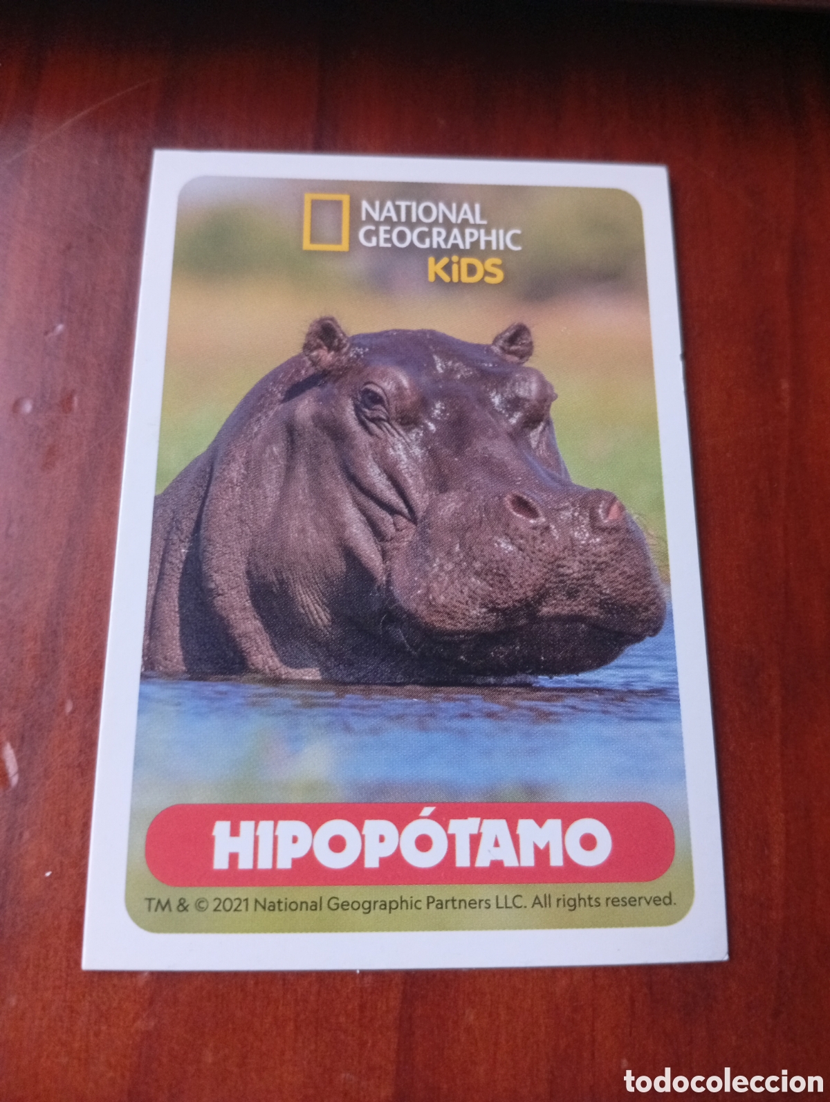 Coleccionismo cromos antiguos: Cromo National Geographic Alcampo - Hipop&oacute;tamo