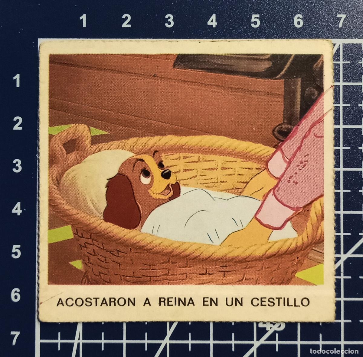 Coleccionismo cromos antiguos: CROMO - LA DAMA Y EL VAGABUNDO S/N - Foto 1