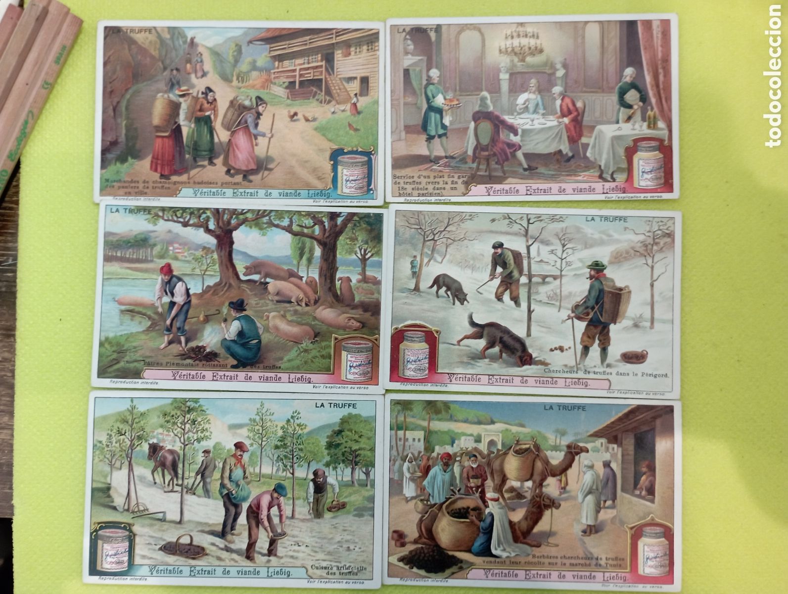 Collezionismo Figurine antiche: Serie completa Liebig Sanguinetti 1031. a&ntilde;os desde 1911 a 1920