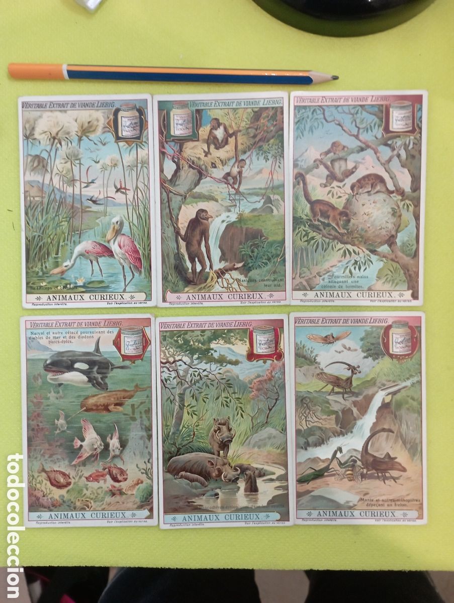 Collezionismo Figurine antiche: Serie completa Liebig Sanguinetti 1035. a&ntilde;os desde 1911 a 1920