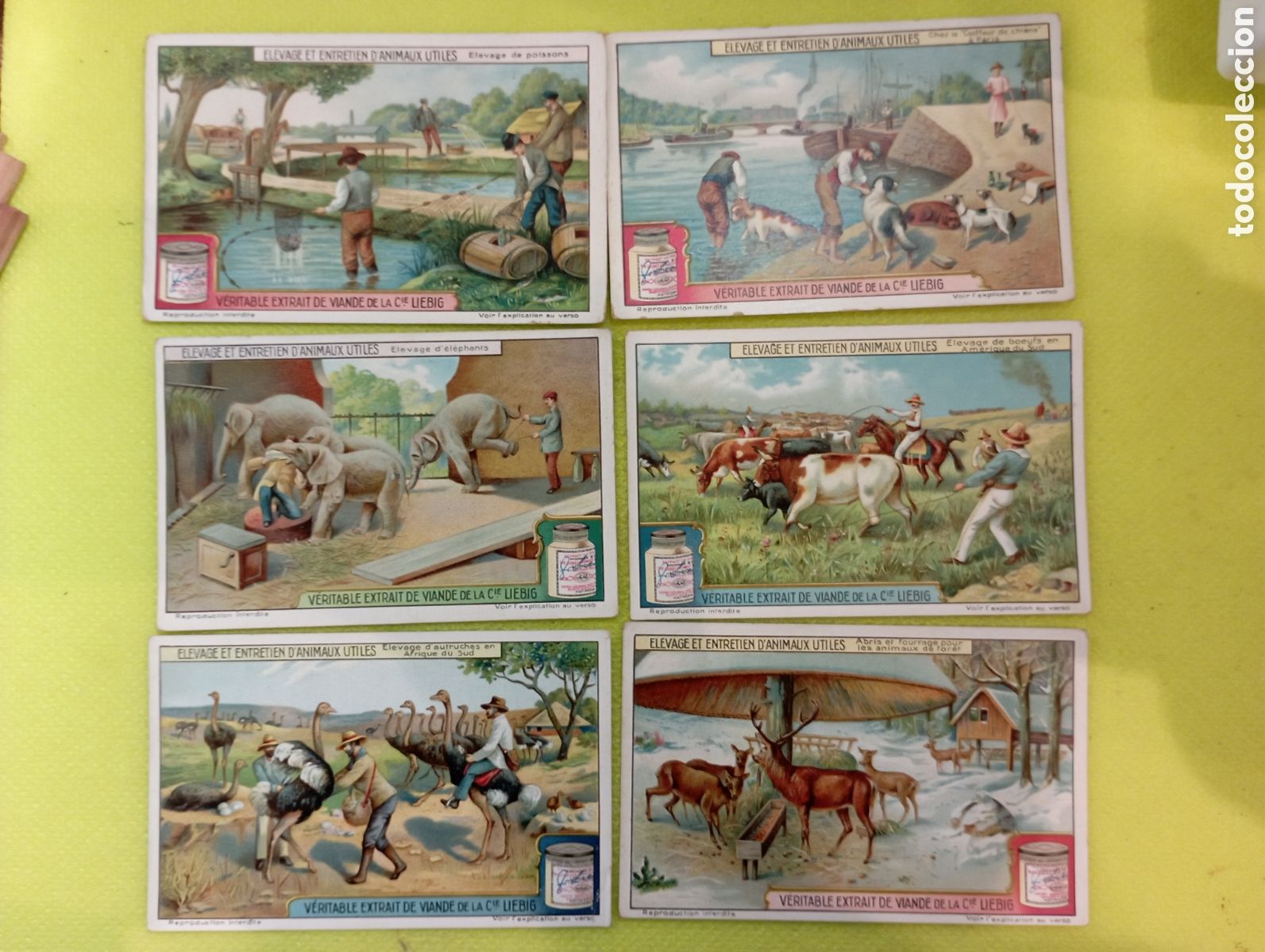 Sammeln alte Sammelbilder: Serie completa Liebig Sanguinetti 1176. a&ntilde;os desde 1926 a 1930