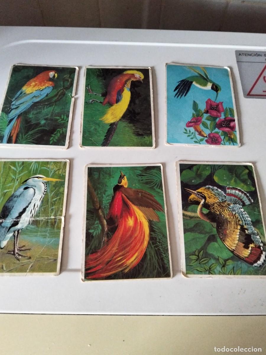Coleccionismo cromos antiguos: LOTE 6 CROMOS DUNKIN LAS AVES - Foto 1