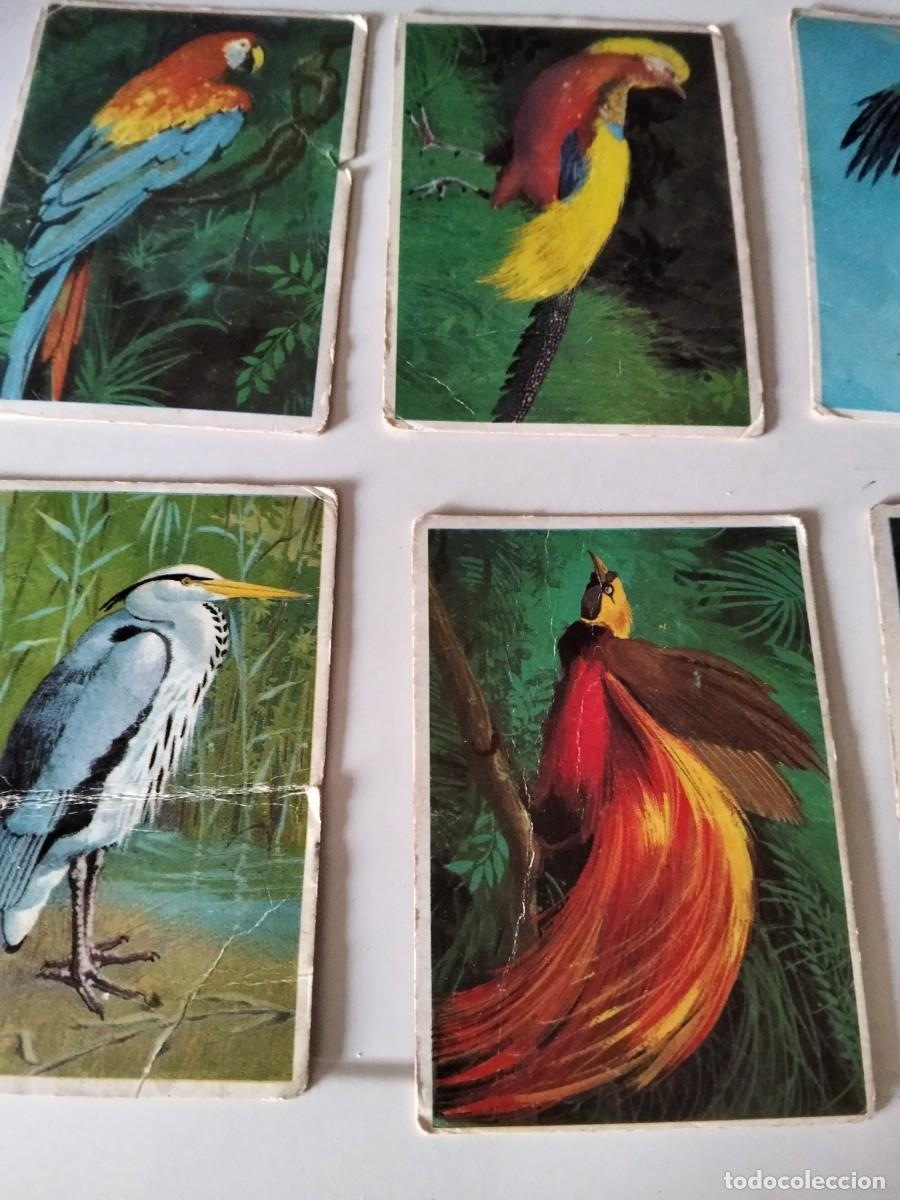 Coleccionismo cromos antiguos: LOTE 6 CROMOS DUNKIN LAS AVES - Foto 2