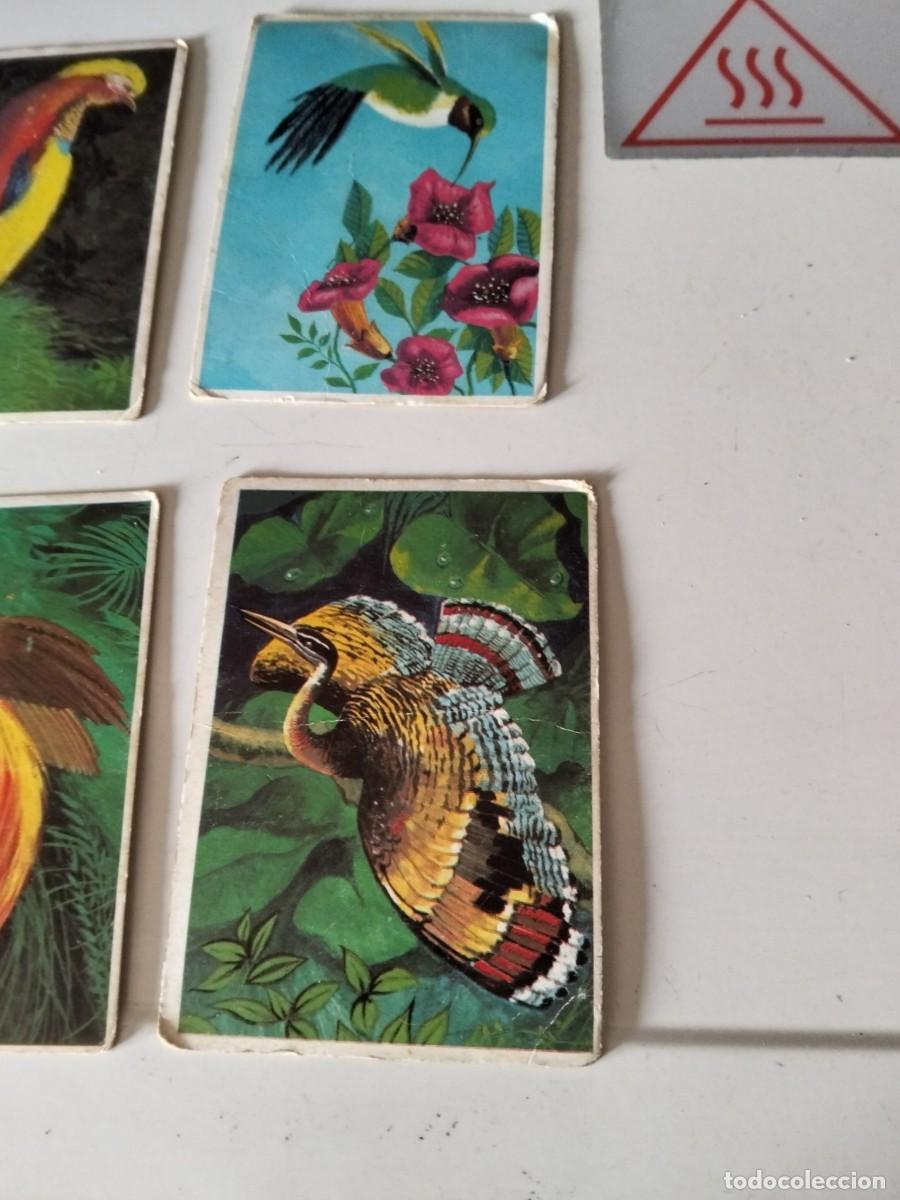 Coleccionismo cromos antiguos: LOTE 6 CROMOS DUNKIN LAS AVES - Foto 3