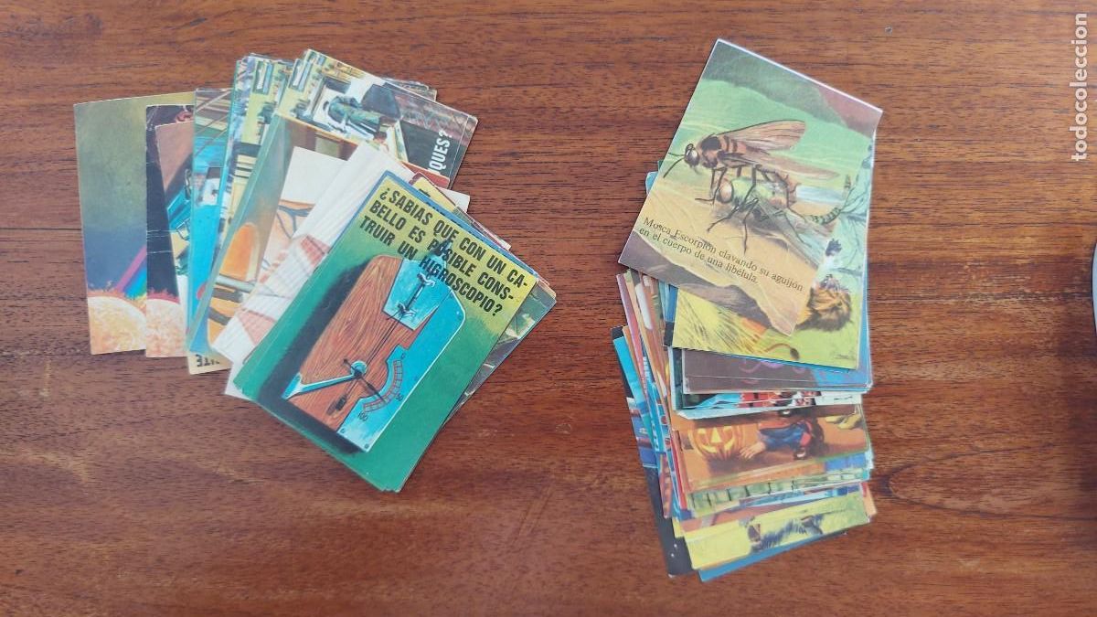 Coleccionismo Cromos antiguos: 76 CROMOS DE BIMBO (46 DE EL LIBRO DE LAS ADIVINANZAS Y 30 DE EL PORQU&Eacute; DE LAS COSAS N&ordm; 3) SIN PEGAR