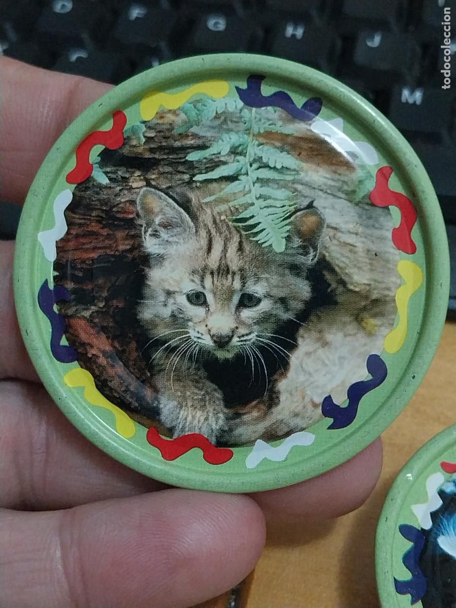 Coleccionismo cromos antiguos: RAPPERS MAGIC BOX CHAPA # 49 GATO 6CMS ORIGINAL * - Foto 1