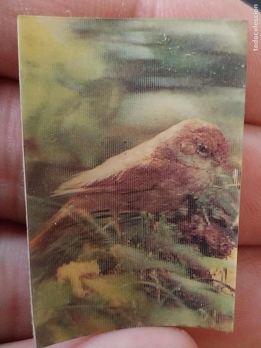 Coleccionismo Cromos antiguos: PANRICO RUISE&Ntilde;OR A&Ntilde;O 1975 CROMO 28 RECUPERADO PASTELITOS ANIMALES TRES DIMENSIONES 2.7X4CMS
