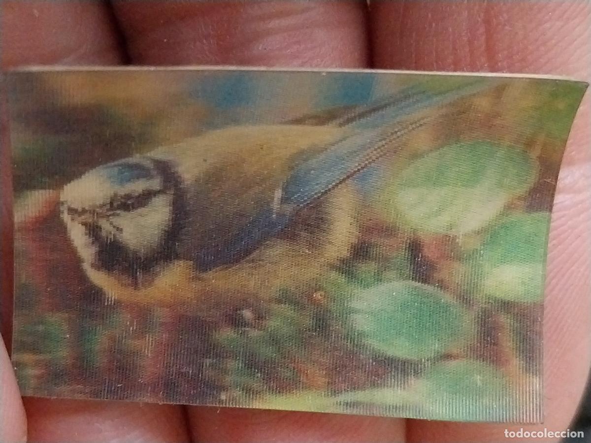 Coleccionismo Cromos antiguos: PANRICO HERRERILLO A&Ntilde;O 1975 CROMO 27 SIN PEGAR NUNCA ANIMALES TRES DIMENSIONES 2.7X4CMS