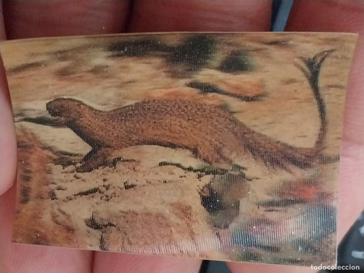 Coleccionismo Cromos antiguos: PANRICO ICNEUMON A&Ntilde;O 1975 CROMO 49 SIN PEGAR NUNCA ANIMALES TRES DIMENSIONES 3.3X4.5CMS