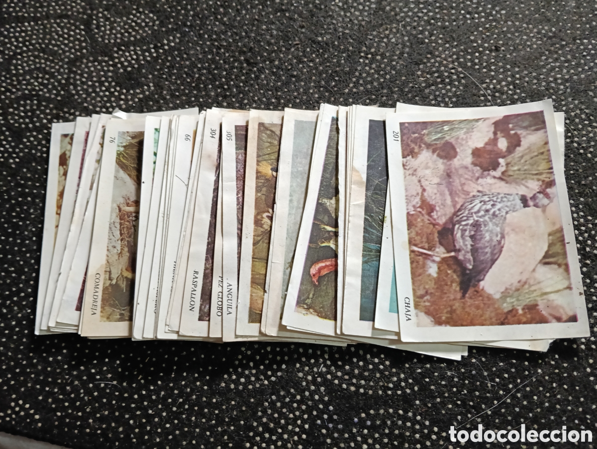 Collezionismo Figurine antiche: Lote de 32 cromos de animales, despegados