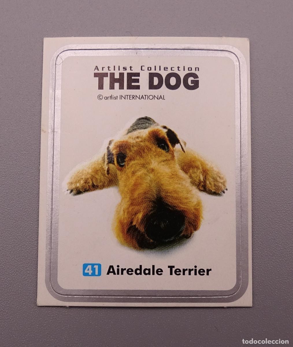 Coleccionismo Cromos antiguos: Artlist Collection The Dog - Chipicao Matutano - Airedale Terrier N&ordm; 41